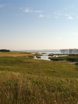 Advance Measures, Tolna Coulee U.S. Army Corps of Engineers