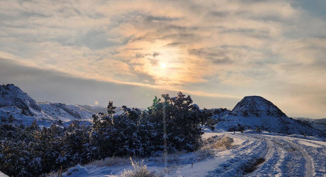 Snowy hills, tire tracks, scattered bushes, cloudy sky, low sun.